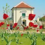 Im Hintergrund steht ein kleines weißes Haus mit rotem Dach, während im grünen Garten im Vordergrund rote Tulpen blühen.