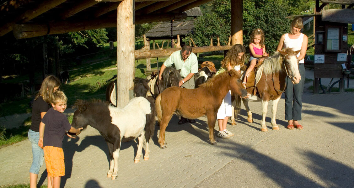 An einem sonnigen Tag interagieren Erwachsene und Kinder unter einem Holzunterstand mit mehreren Ponys und kleinen Pferden.