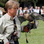 Eine Person in einem hellen Hemd hält während einer Veranstaltung im Freien einen Falken auf einer behandschuhten Hand, im Hintergrund sitzt ein Publikum.