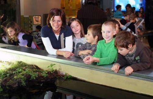Eine Gruppe von Kindern und ein Erwachsener lehnen sich über ein Geländer und beobachten eine Aquarienausstellung in einer belebten Halle.