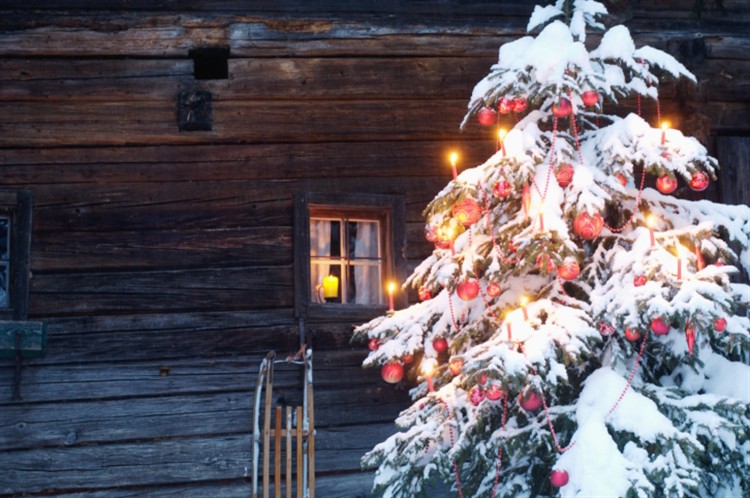 Ein schneebedeckter, mit roten Ornamenten und Kerzen geschmückter Weihnachtsbaum steht vor einer rustikalen Holzhütte mit einem beleuchteten Fenster und einem Schlitten in der Nähe.