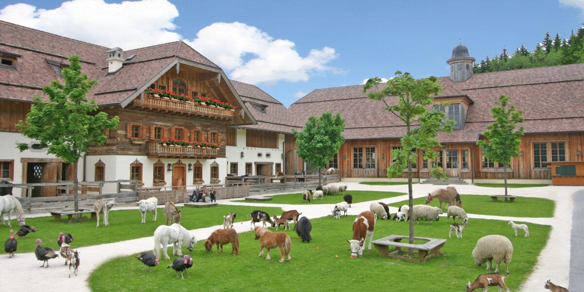 Bauernhof mit verschiedenen Tieren, darunter Ziegen, Schafe, Ponys, Alpakas, Truthähne und Enten, die auf grünem Gras vor Holzgebäuden unter blauem Himmel grasen.