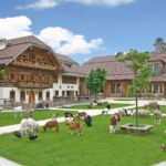 Bauernhof mit verschiedenen Tieren, darunter Ziegen, Schafe, Ponys, Alpakas, Truthähne und Enten, die auf grünem Gras vor Holzgebäuden unter blauem Himmel grasen.