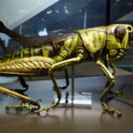Ein großes, detailliertes Modell eines grünen Grashüpfers ist auf einer schwarzen Plattform in einem Museum ausgestellt.