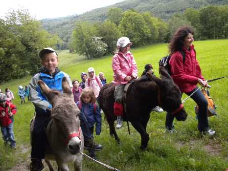 Kinder, die auf Eseln reiten, gehen in Begleitung von Erwachsenen und anderen Kindern einen grasbewachsenen Weg in einer grünen, bewaldeten Umgebung entlang.