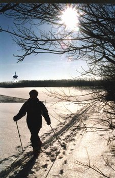 Eine Person geht mit Skistöcken auf einem verschneiten Weg unter klarem Himmel, wobei das Sonnenlicht durch die Äste der Bäume fällt und ein entferntes Gebäude zu sehen ist.