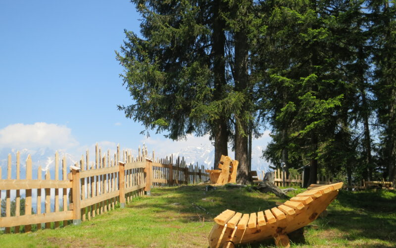 Ein hölzerner Liegestuhl steht auf grünem Gras in der Nähe eines rustikalen Holzzauns und hoher immergrüner Bäume unter einem klaren blauen Himmel. In der Ferne sind schneebedeckte Berge zu sehen.