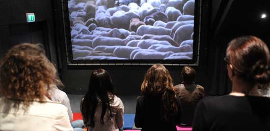 Eine Gruppe von Menschen sitzt in einem dunklen Raum und blickt auf einen großen Bildschirm, auf dem ein Bild von dicht gedrängten Schafen zu sehen ist.