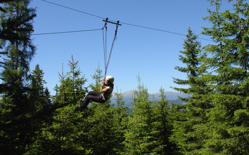 Eine Person, die einen Helm trägt, fährt mit einer Seilrutsche über einen Wald mit Bergen im Hintergrund unter einem klaren blauen Himmel.