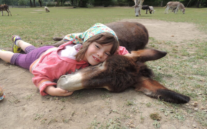 Ein junges Mädchen mit rosa Jacke und Kopftuch liegt im Gras und umarmt einen ruhenden Esel, während im Hintergrund mehrere andere Esel grasen.