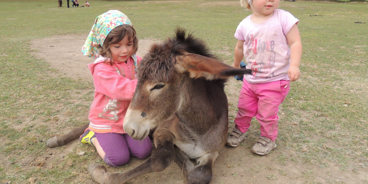 Zwei kleine Kinder mit Kopftüchern sitzen und stehen neben einem Esel, der auf einer Wiese am Boden liegt.