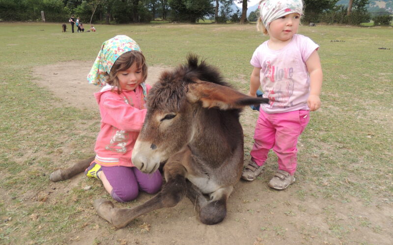 Zwei kleine Kinder mit Kopftüchern sitzen und stehen neben einem Esel, der auf einer Wiese am Boden liegt.