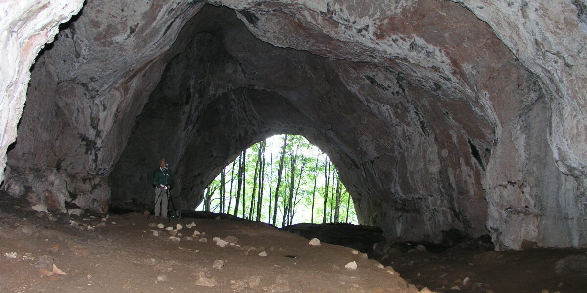 Eine Person steht in einer großen, felsigen Höhle mit einer weit gewölbten Öffnung, durch die Bäume und Tageslicht nach draußen fallen.