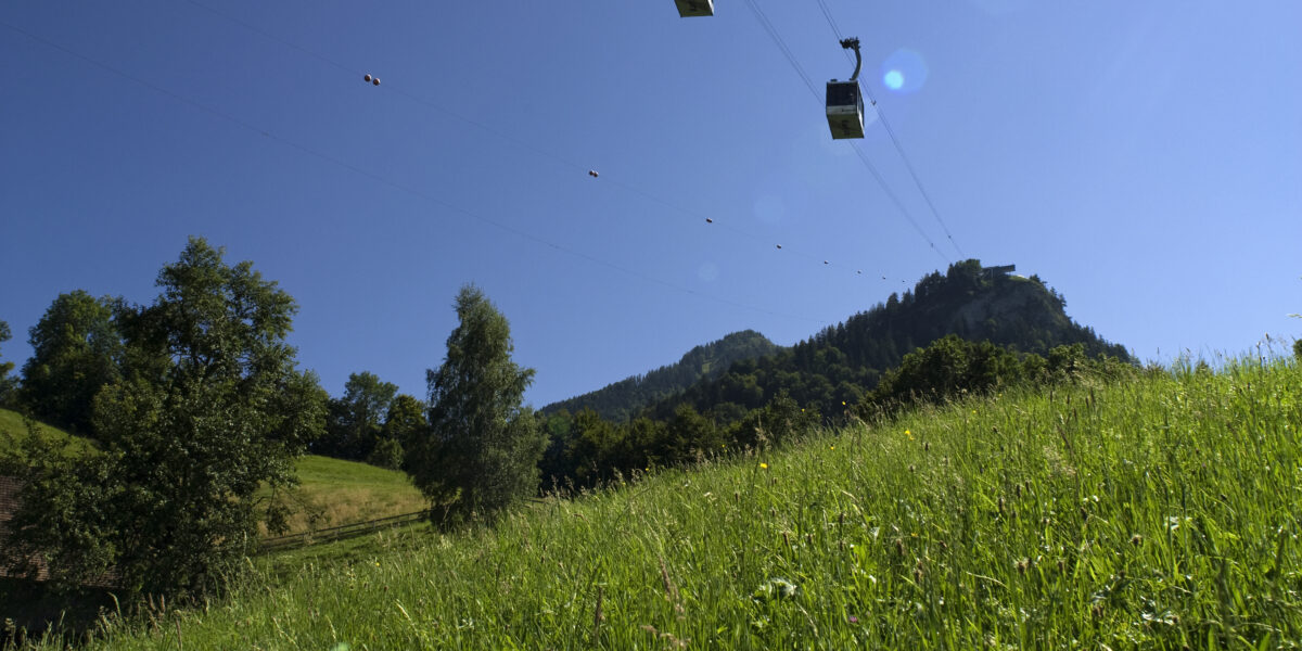 Ein grasbewachsener Hügel mit Bäumen und einem Berg im Hintergrund, über dem sich zwei Seilbahnen vor einem strahlend blauen Himmel bewegen.