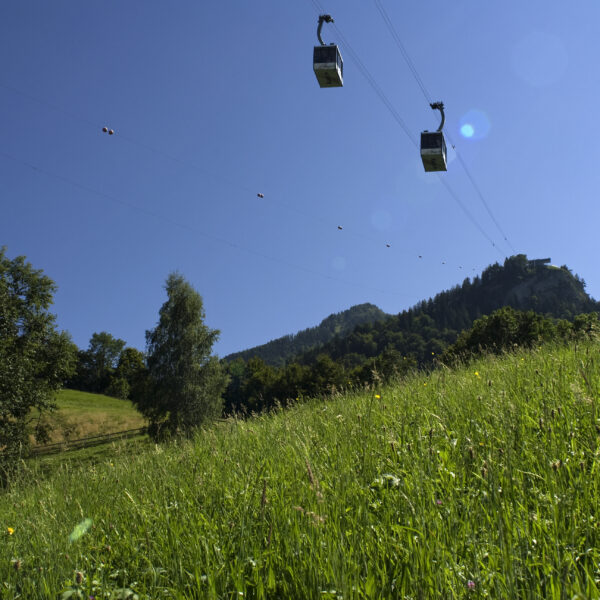 Ein grasbewachsener Hügel mit Bäumen und einem Berg im Hintergrund, über dem sich zwei Seilbahnen vor einem strahlend blauen Himmel bewegen.