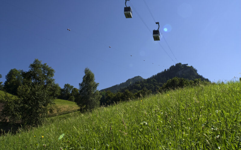 Ein grasbewachsener Hügel mit Bäumen und einem Berg im Hintergrund, über dem sich zwei Seilbahnen vor einem strahlend blauen Himmel bewegen.
