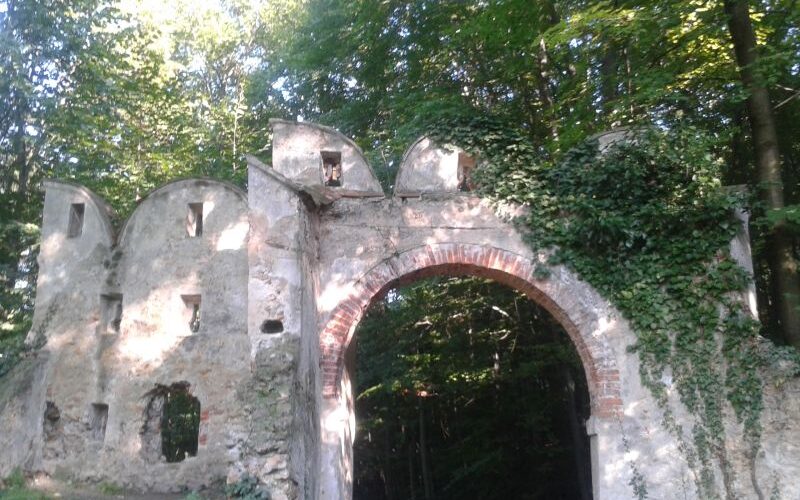Ein teilweise verfallener steinerner Torbogen und eine mit Efeu überwucherte Mauer stehen in einem Waldgebiet, in dem das Sonnenlicht durch die Bäume dringt.