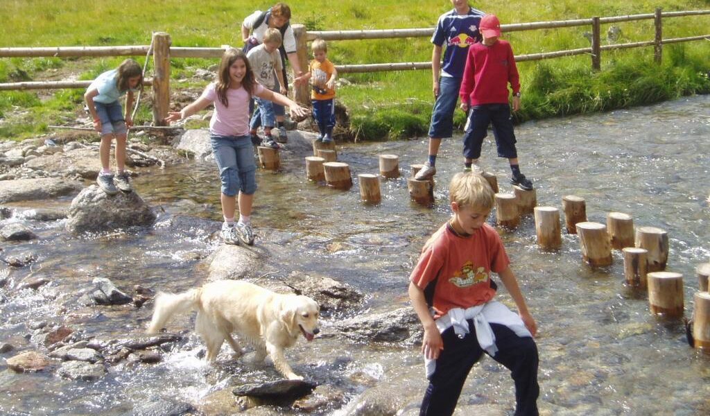 Mehrere Kinder und ein Hund überqueren einen flachen Bach mit Hilfe von Steinen und Holzpfosten, während im Hintergrund eine Wiese und ein Holzzaun zu sehen sind.