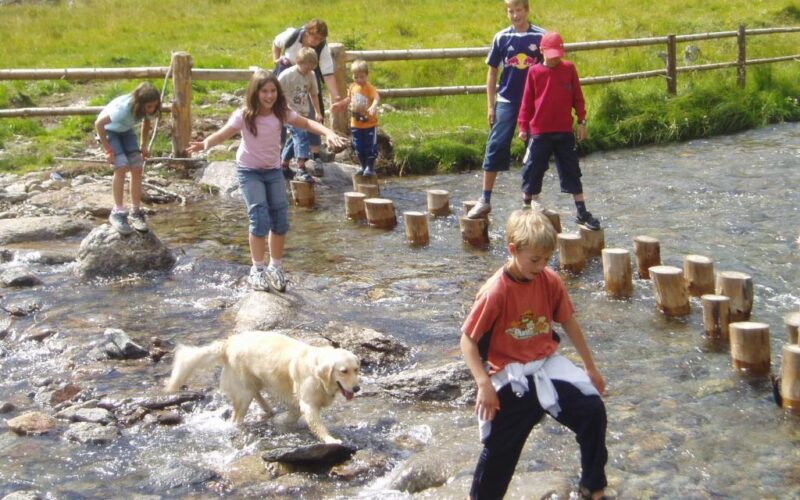 Mehrere Kinder und ein Hund überqueren einen flachen Bach mit Hilfe von Steinen und Holzpfosten, während im Hintergrund eine Wiese und ein Holzzaun zu sehen sind.