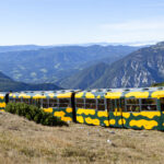 Zwei Personen wandern an einem grasbewachsenen Hang in der Nähe eines gelb-grünen Zuges entlang, während im Hintergrund Berge und Täler zu sehen sind.