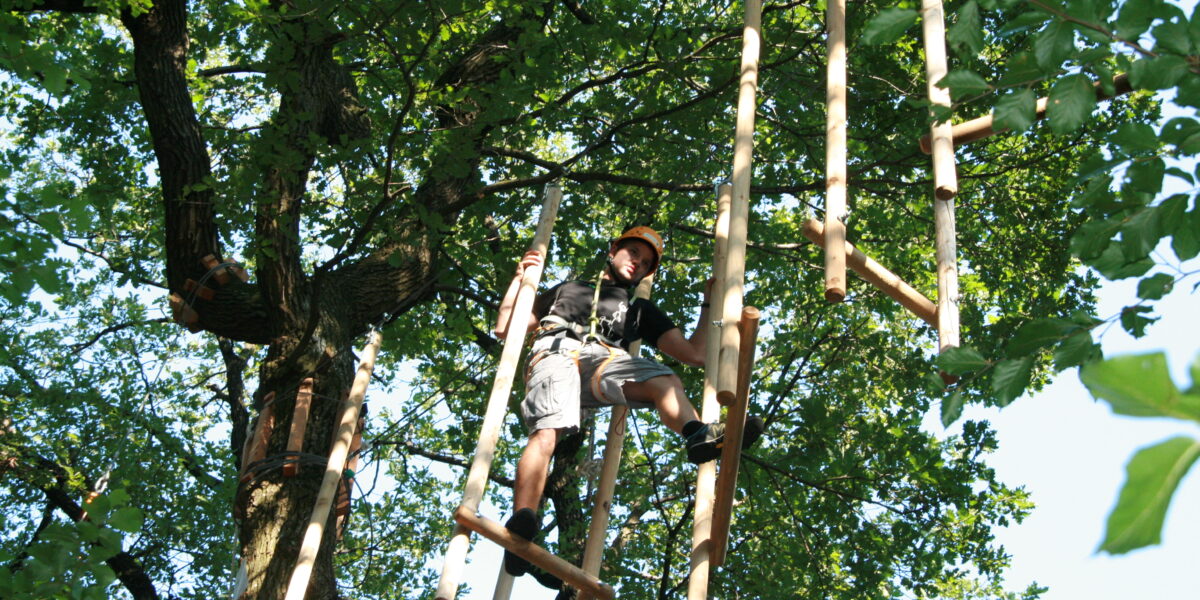 Eine Person, die einen Helm und einen Klettergurt trägt, klettert auf einen hängenden hölzernen Hindernisparcours hoch in einem Baum, umgeben von grünen Blättern.