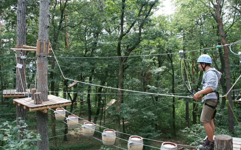 Eine Person mit Helm und Klettergurt steht auf einer Holzplattform und bereitet sich darauf vor, einen Hindernisparcours aus Seilen und Fässern in einem Wald zu durchqueren.