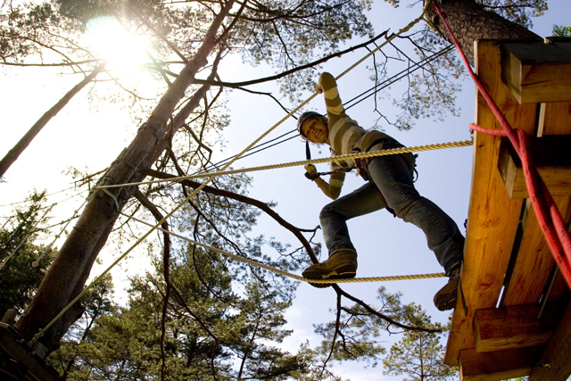 Eine Person, die einen Helm und einen Klettergurt trägt, läuft auf Seilen zwischen Bäumen in einem Outdoor-Abenteuerpark, wobei das Sonnenlicht durch die Äste sichtbar ist.