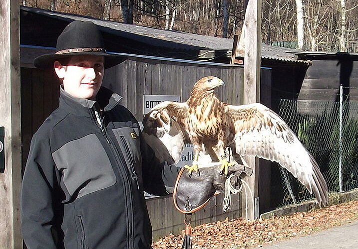 Eine Person, die eine schwarze Jacke und einen Hut trägt, steht im Freien und hält einen großen braunen Falken mit ausgebreiteten Flügeln in einer behandschuhten Hand.