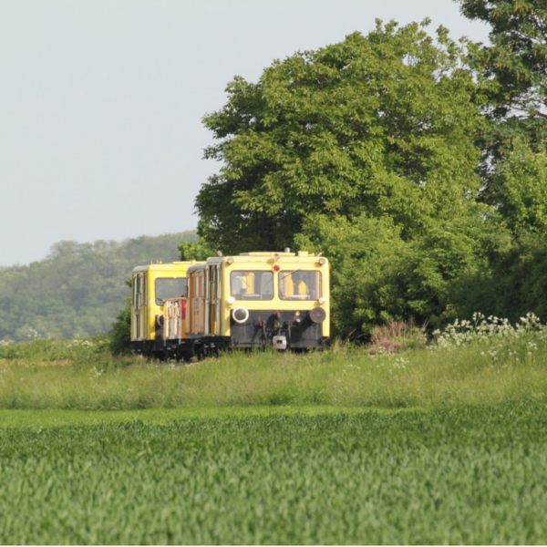Ein kleiner gelber Zug fährt an einem klaren Tag auf einem einzigen Gleis, umgeben von grünem Gras und Bäumen.