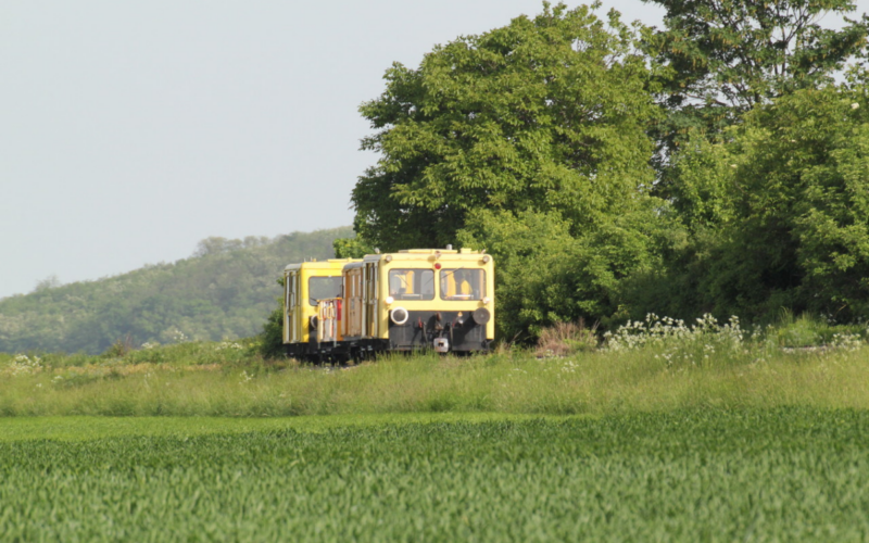 Ein kleiner gelber Zug fährt an einem klaren Tag auf einem einzigen Gleis, umgeben von grünem Gras und Bäumen.