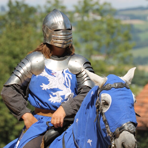 Eine Person in mittelalterlicher Ritterrüstung reitet auf einem Pferd, das in blauen Stoff mit weißen Mustern gehüllt ist, im Freien mit Bäumen und Hügeln im Hintergrund.