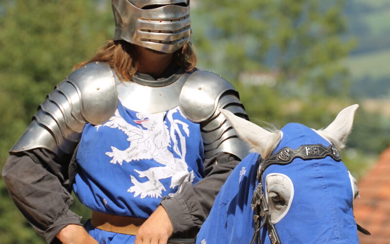 Eine Person in mittelalterlicher Ritterrüstung reitet auf einem Pferd, das in blauen Stoff mit weißen Mustern gehüllt ist, im Freien mit Bäumen und Hügeln im Hintergrund.