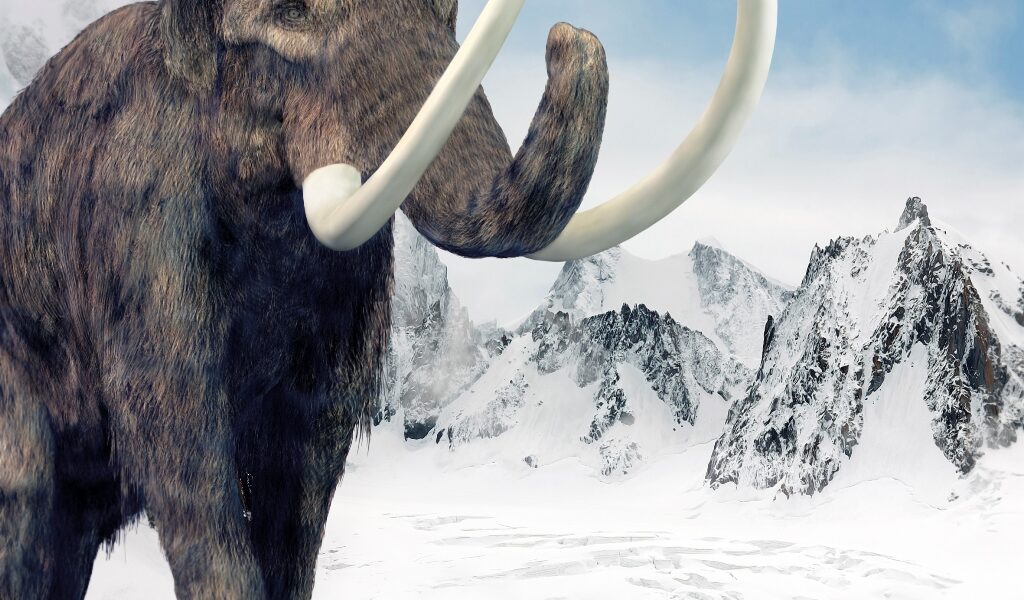 Ein Wollmammut mit langen gebogenen Stoßzähnen steht in einer verschneiten Berglandschaft unter einem teilweise bewölkten Himmel.