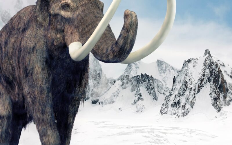 Ein Wollmammut mit langen gebogenen Stoßzähnen steht in einer verschneiten Berglandschaft unter einem teilweise bewölkten Himmel.