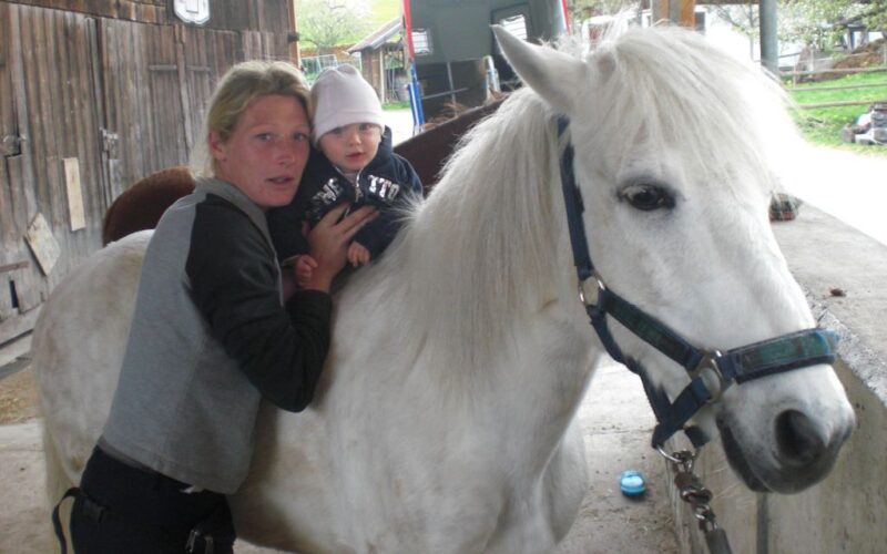 Ein Erwachsener hält ein Baby auf dem Rücken eines weißen Pferdes mit blauem Halfter, das in einem Stallbereich steht.