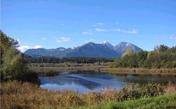 Ein ruhiger See, gesäumt von Schilf und Bäumen, mit bewaldeten Bergen und einem klaren blauen Himmel im Hintergrund.