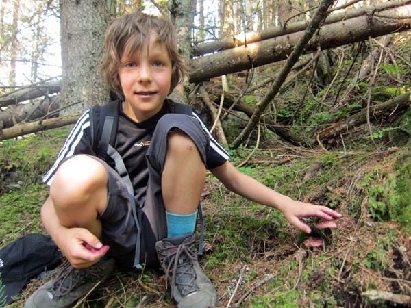 Ein Kind in Wanderkleidung hockt in einem Wald und berührt den Boden in der Nähe von Moos und heruntergefallenen Ästen.