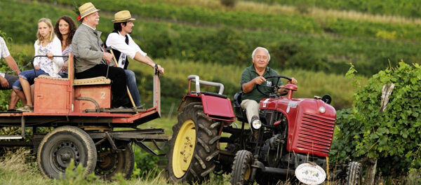 Ein Mann fährt einen roten Traktor, der einen Wagen mit sechs sitzenden Passagieren durch eine grüne, ländliche Landschaft zieht.