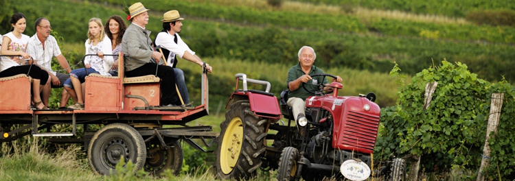 Ein Mann fährt einen roten Traktor, der einen Wagen mit sechs sitzenden Passagieren durch eine grüne, ländliche Landschaft zieht.