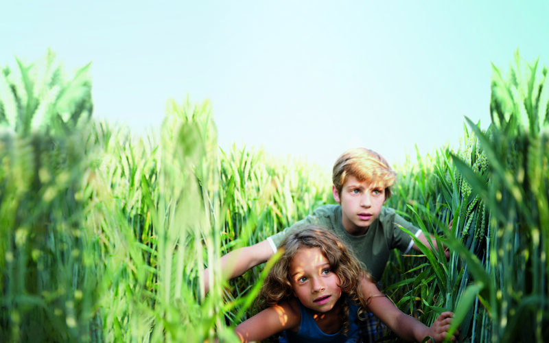 Zwei Kinder, ein Junge und ein Mädchen, kauern eng beieinander inmitten hoher grüner Weizenpflanzen und blicken mit ernster Miene unter einem klaren blauen Himmel nach vorn.