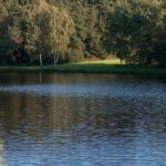 Ein ruhiger Fluss schlängelt sich durch eine von Bäumen gesäumte Wiese, und die Bäume spiegeln sich im Wasser.