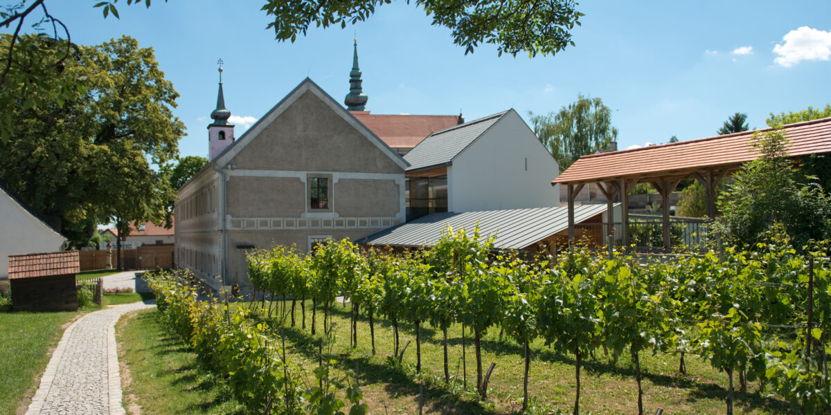 Ein kopfsteingepflasterter Weg führt neben einem kleinen Weinberg zu einem historischen Gebäude mit zwei Türmen und einer hölzernen Pergola unter strahlend blauem Himmel.
