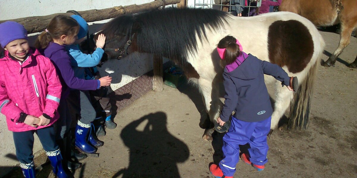 Vier Kinder in Winterkleidung streicheln und bürsten ein kleines schwarz-weißes Pony an einem sonnigen Tag im Freien. Auf dem Boden sind die Schatten anderer Menschen zu sehen.