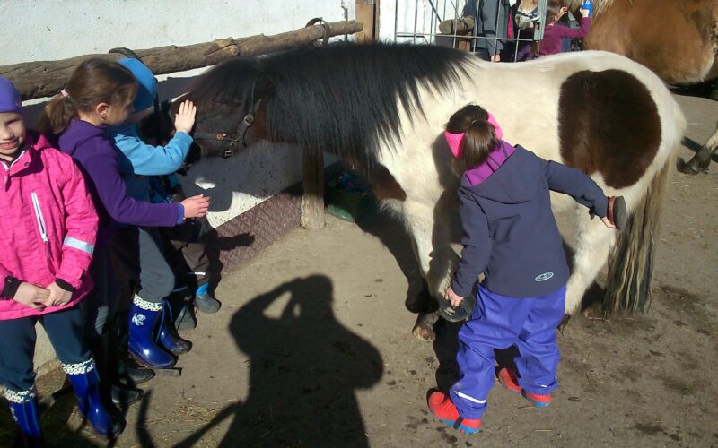 Vier Kinder in Winterkleidung streicheln und bürsten ein kleines schwarz-weißes Pony an einem sonnigen Tag im Freien. Auf dem Boden sind die Schatten anderer Menschen zu sehen.