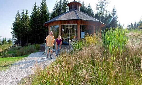 Zwei ältere Menschen gehen an einem sonnigen Tag mit Wanderstöcken auf einem Kiesweg in der Nähe eines Holzpavillons, der von hohem Gras und Bäumen umgeben ist.