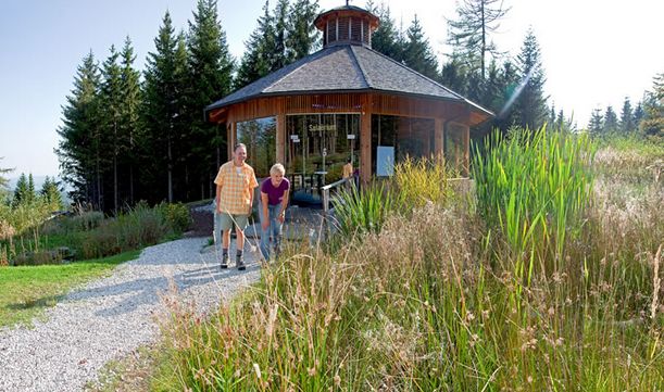 Zwei ältere Menschen gehen an einem sonnigen Tag mit Wanderstöcken auf einem Kiesweg in der Nähe eines Holzpavillons, der von hohem Gras und Bäumen umgeben ist.