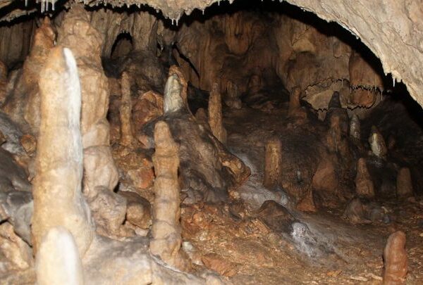 Das Innere einer Höhle mit mehreren Stalagmiten, die aus dem felsigen Boden ragen, und Stalaktiten, die von der Decke hängen.