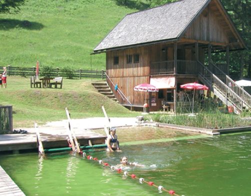 Zwei Personen schwimmen in einem grünen See in der Nähe eines hölzernen Stegs, mit einer Holzhütte und einem grasbewachsenen Hügel im Hintergrund. Ein paar Leute stehen am Ufer in der Nähe von Picknicktischen und Sonnenschirmen.