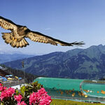 Eine Frau isst im Freien Gebäck, ein Adler schwebt über der Berglandschaft, eine Seilbahn fährt nach oben, und eine andere Person schwenkt in einem Fluss, alles inmitten einer alpinen Landschaft.