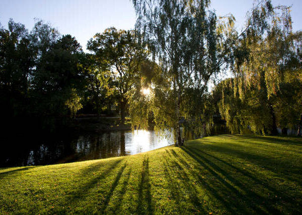 Das Sonnenlicht scheint durch die Bäume und wirft lange Schatten auf eine Wiese am Rande eines ruhigen Flusses in einer Parkanlage.